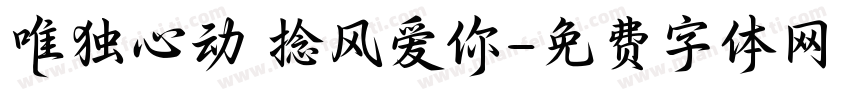 唯独心动 捻风爱你字体转换